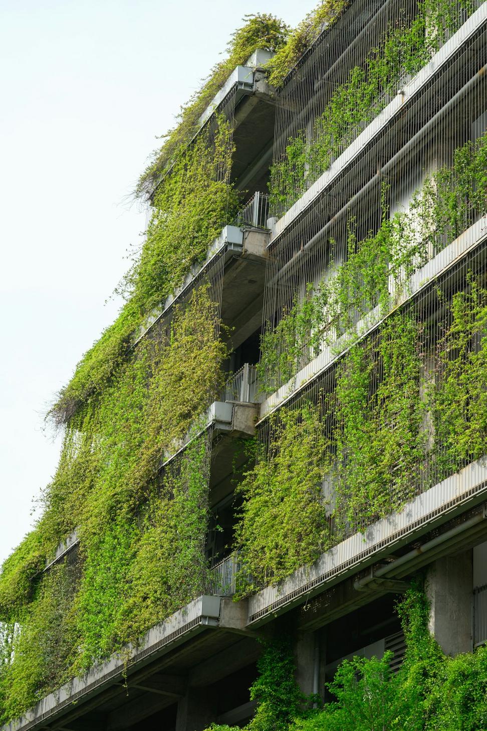 Sustainable Solutions