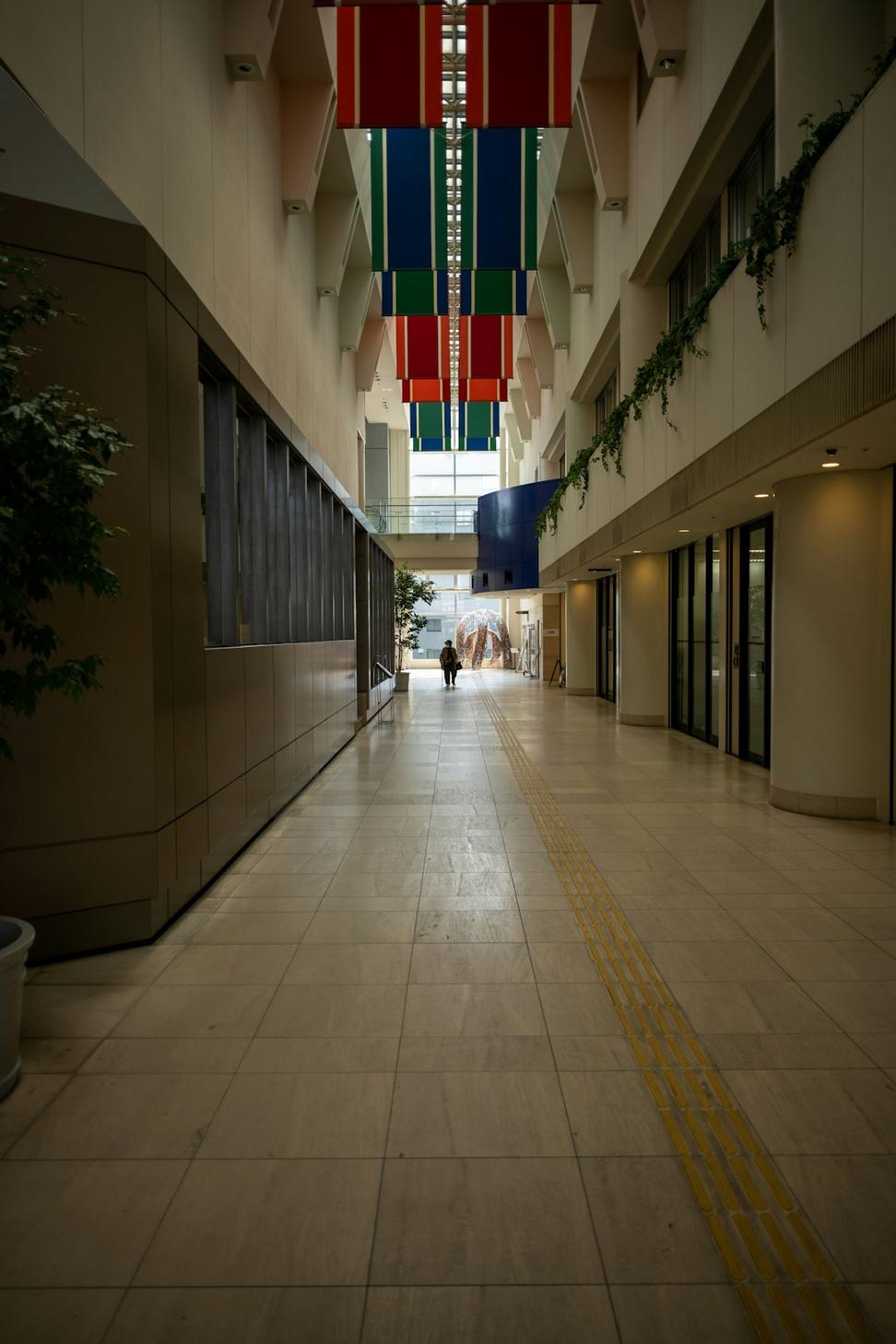 Commercial Architecture