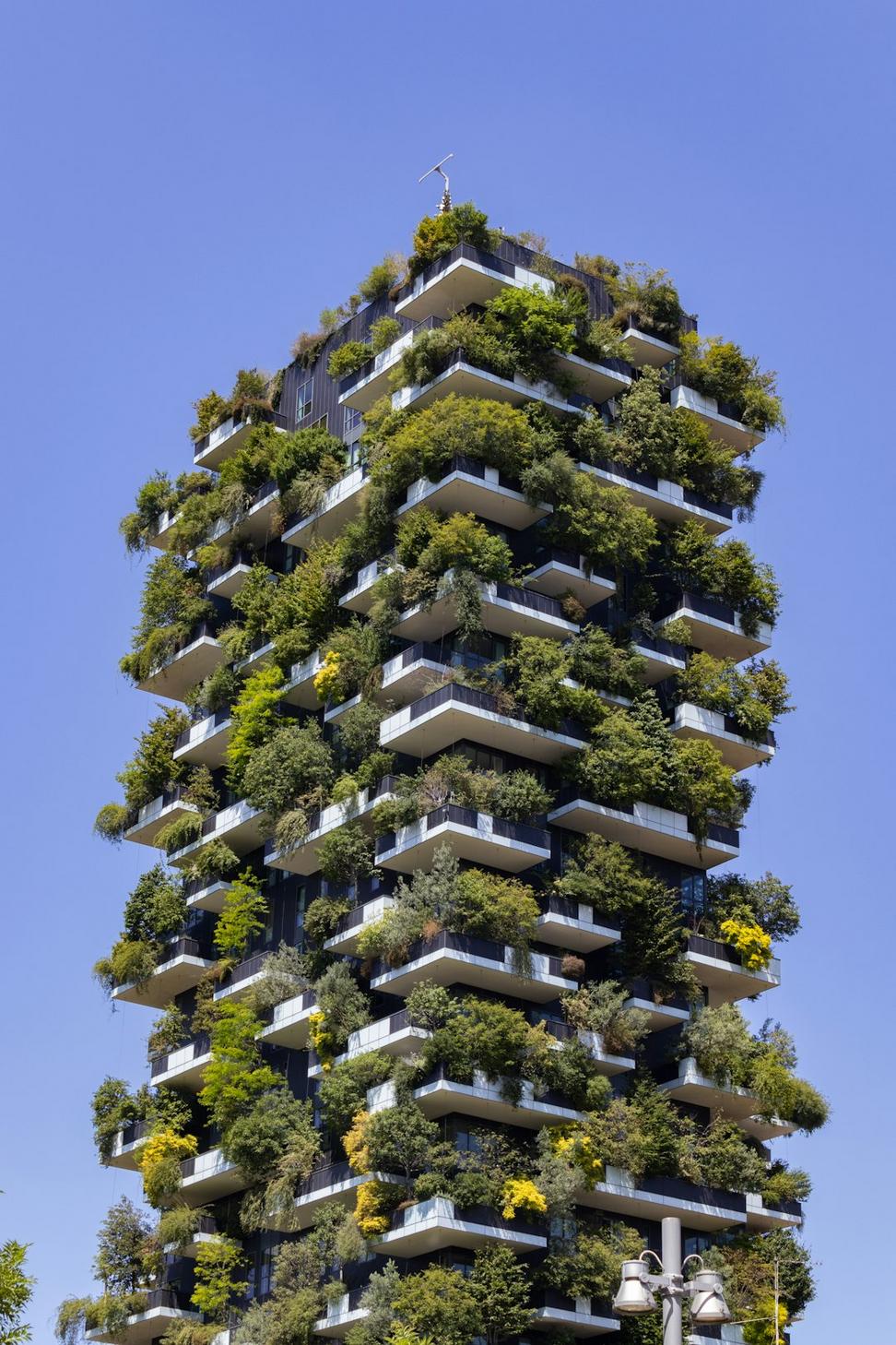 Sustainable Building