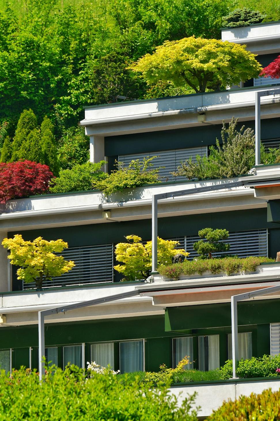 Residential Design